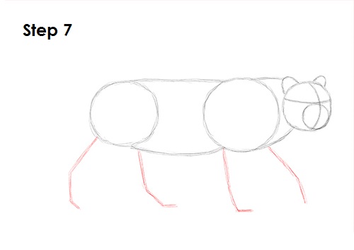 Draw a Leopard 7