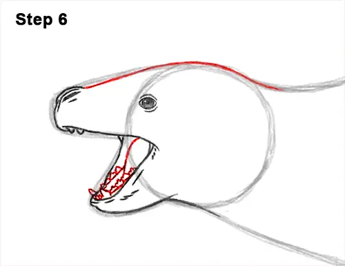 How to Draw a Sea Leopard Seal Side View 6