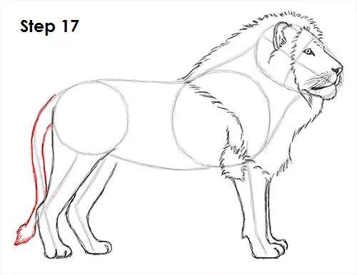 Инструкция как рисовать льва