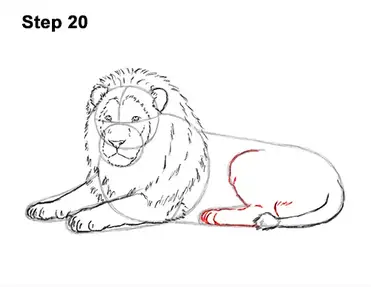 How To Draw A Lion Color Video Step By Step Pictures