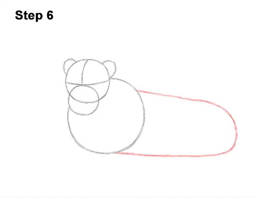How to Draw a Lion Color Side Laying Lying Down 6