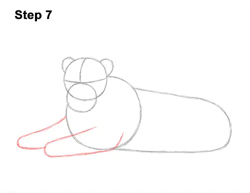 How to Draw a Lion Color Side Laying Lying Down 7
