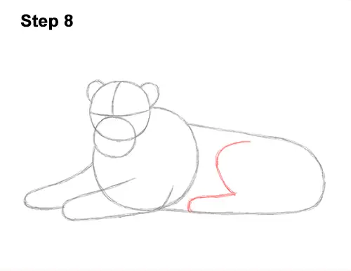 How to Draw a Lion Color Side Laying Lying Down 8