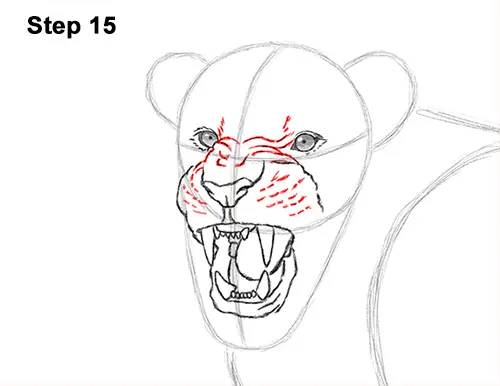 Draw Roaring Lion 15