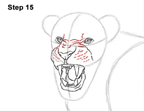 lions face roaring drawing