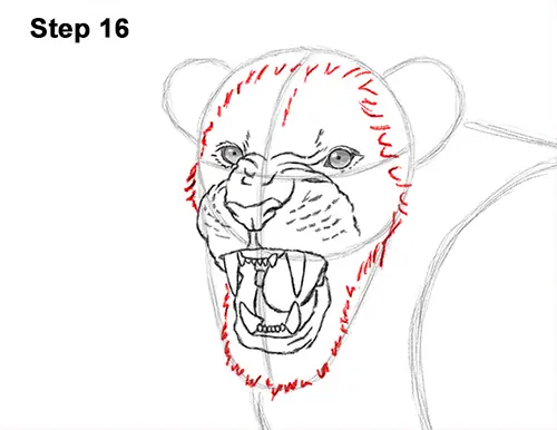 Draw Roaring Lion 16
