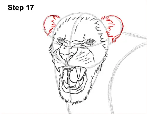 Draw Roaring Lion 17