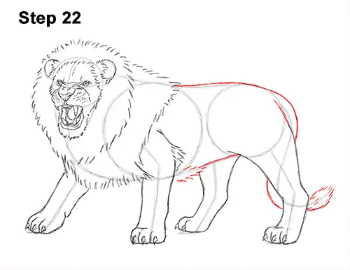 Lion Face Coloring Pages On White Background — Lionhead Outline Sketch  Drawing Vector, Lions Face Drawing, Lions Face Outline, Lions Face Sketch  PNG and Vector with Transparent Background for Free Download