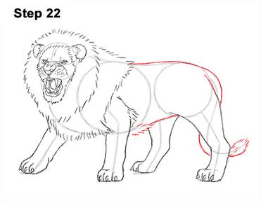 how to draw lion roaring