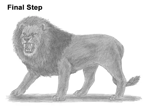 Draw Roaring Lion