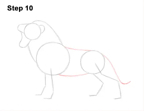 How to Draw a Lion Roar Roaring Side Color 10