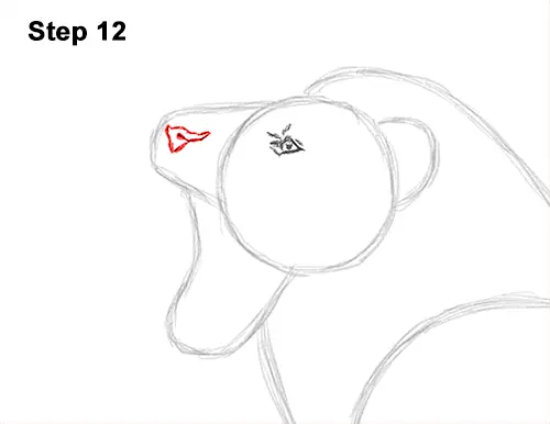 How to Draw a Lion Roar Roaring Side Color 12