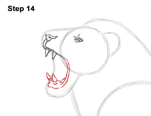 How to Draw a Lion Roar Roaring Side Color 14