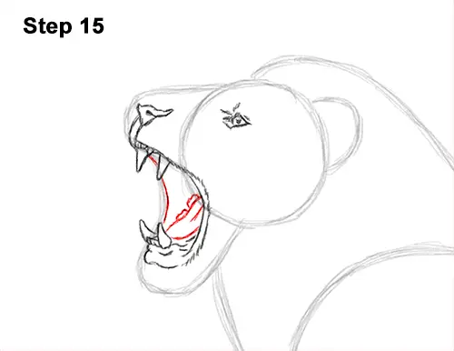 How to Draw a Lion Roar Roaring Side Color 15