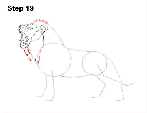 How to Draw a Lion Roar Roaring Side Color 19