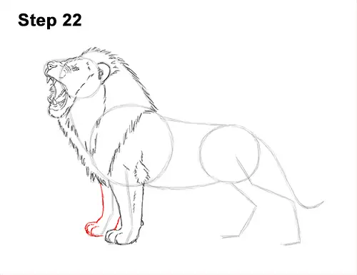 How to Draw a Lion Roar Roaring Side Color 22