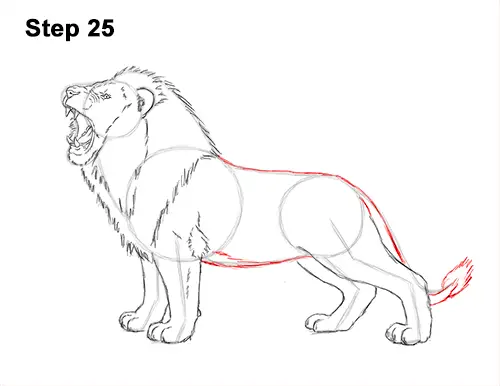 How To Draw a Lion Roaring  Step By Step  YouTube