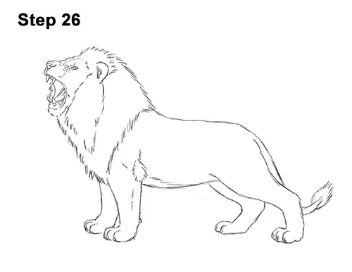 Lion and Lioness 3D Wireframe coloring page | Free Printable Coloring Pages