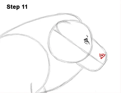 How to Draw Male Lion Running Side 11