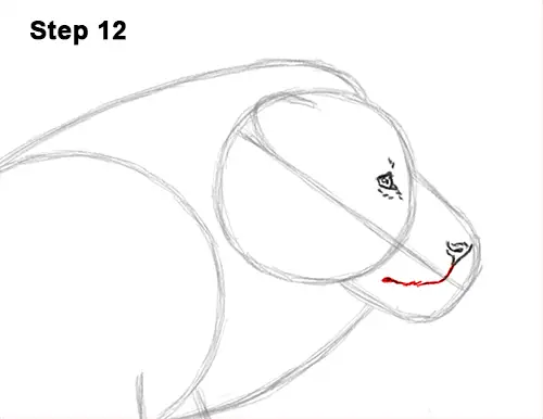 How to Draw Male Lion Running Side 12