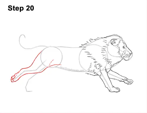 How to Draw Male Lion Running Side 20