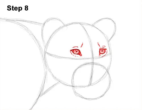 Draw Female Lion 8
