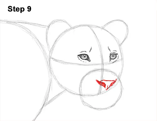 Draw Female Lion 9