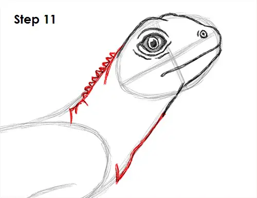 Draw Lizard 11