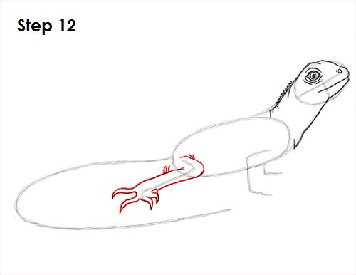 Draw Lizard 12
