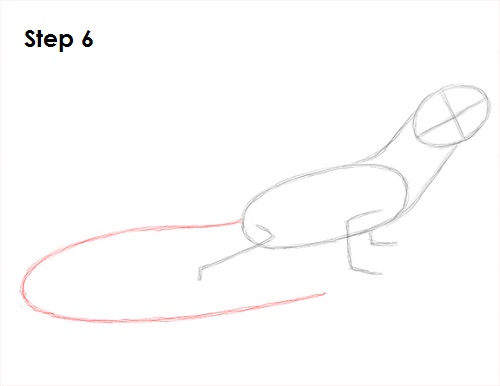 Draw Lizard 6