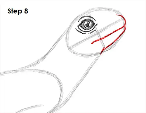 Draw Lizard 8