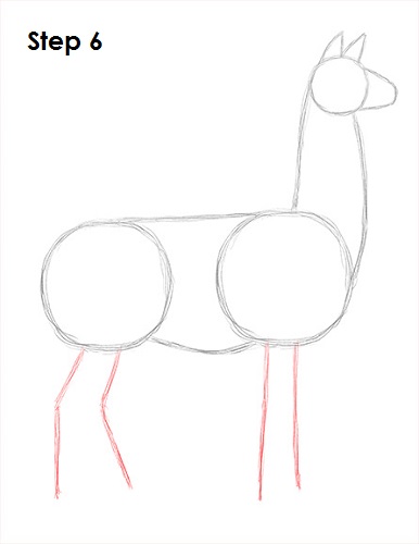 Draw Llama 6