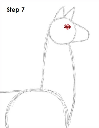 Draw Llama 7