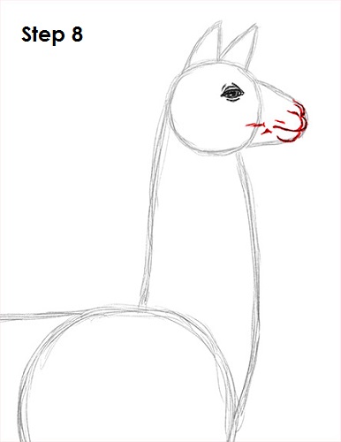 Draw Llama 8