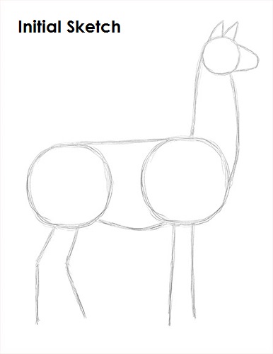 Draw Llama Sketch