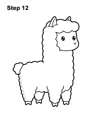 How to Draw Cute Cartoon White Llama 12