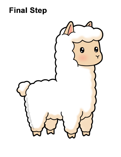 How to Draw Cute Cartoon White Llama