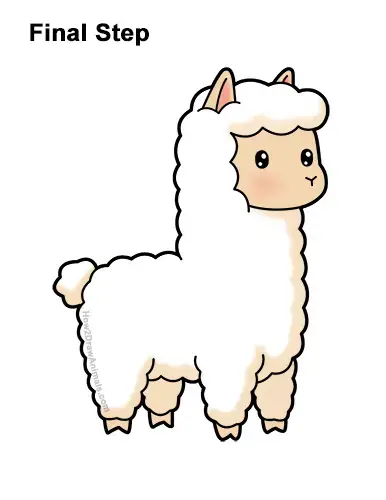 How to Draw Cute Cartoon White Llama
