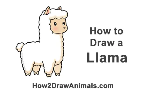 How to Draw Cute Cartoon White Llama