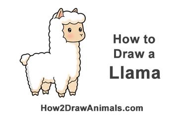llama drawing