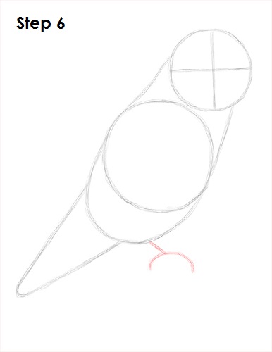 Draw Lovebird 6