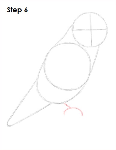 How To Draw A Lovebird 3090