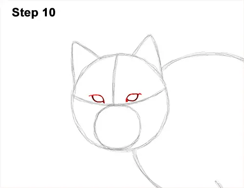 How to Draw Canada Lynx Cat Bobcat Wildcat 10