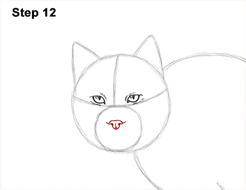 How to Draw Canada Lynx Cat Bobcat Wildcat 12