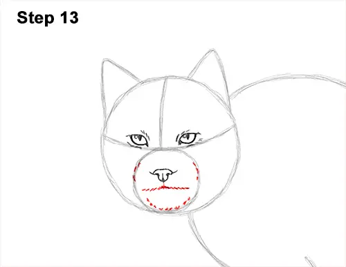 How to Draw Canada Lynx Cat Bobcat Wildcat 13