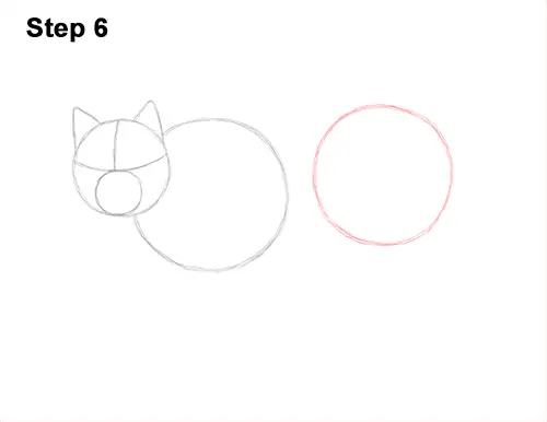 How to Draw Canada Lynx Cat Bobcat Wildcat 6