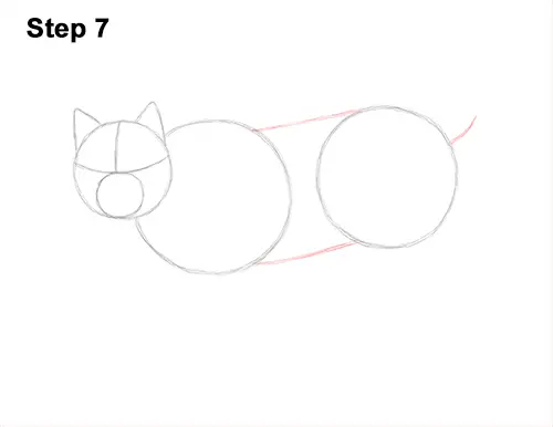 How to Draw Canada Lynx Cat Bobcat Wildcat 7