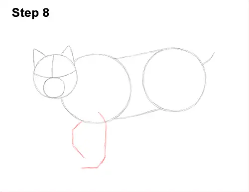 How to Draw Canada Lynx Cat Bobcat Wildcat 8