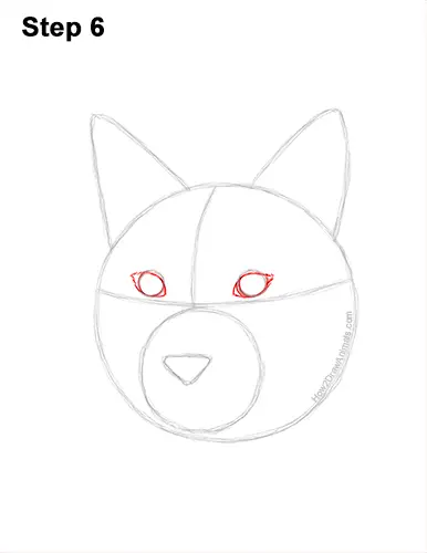 How to Draw a Lynx Bobcat Head Face Portrait 6