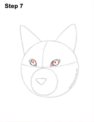 How to Draw a Lynx Bobcat Head Face Portrait 7